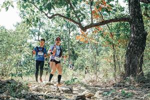 BIB: 
                            <button type="button" onclick="openModal(26091992)" class="btn btn-primary btn-sm float-right btn-popup" data-toggle="modal" data-target=".modal-high-quality">
                        <i class="fas fa-shopping-cart"></i> Add to Cart
                    </button>
                                            <button type="button" onclick="isThisMe(26091992, true)" class="btn btn-success btn-sm float-right btn-popup btn-isme hidden" data-toggle="tooltip" data-placement="bottom" title="นี่คือรูปของคุณใช่ไหม คลิกที่นี่เพื่อเอาเข้าอัลบั้ม">
                        <i class="fas fa-plus"></i> Add to album
                    </button>
                    <button type="button" onclick="isThisMe(26091992, false)" class="btn btn-warning btn-sm float-right btn-popup btn-isnotme hidden">
                        <i class="fas fa-ban"></i> Remove from album
                    </button>